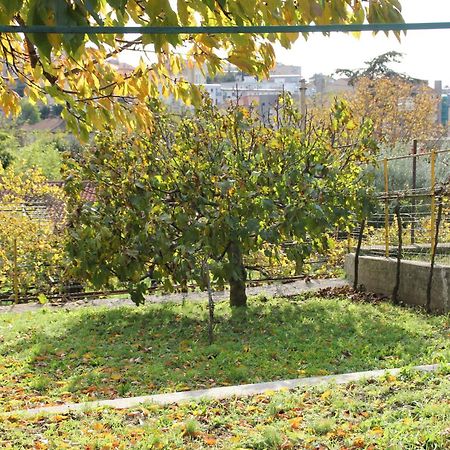 Il Gelsomino Villa Trieste Ngoại thất bức ảnh