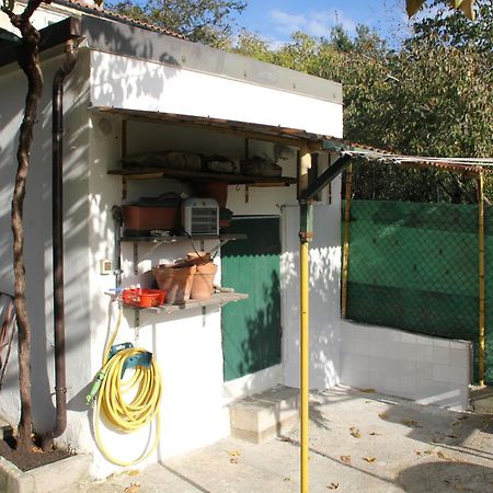 Il Gelsomino Villa Trieste Ngoại thất bức ảnh