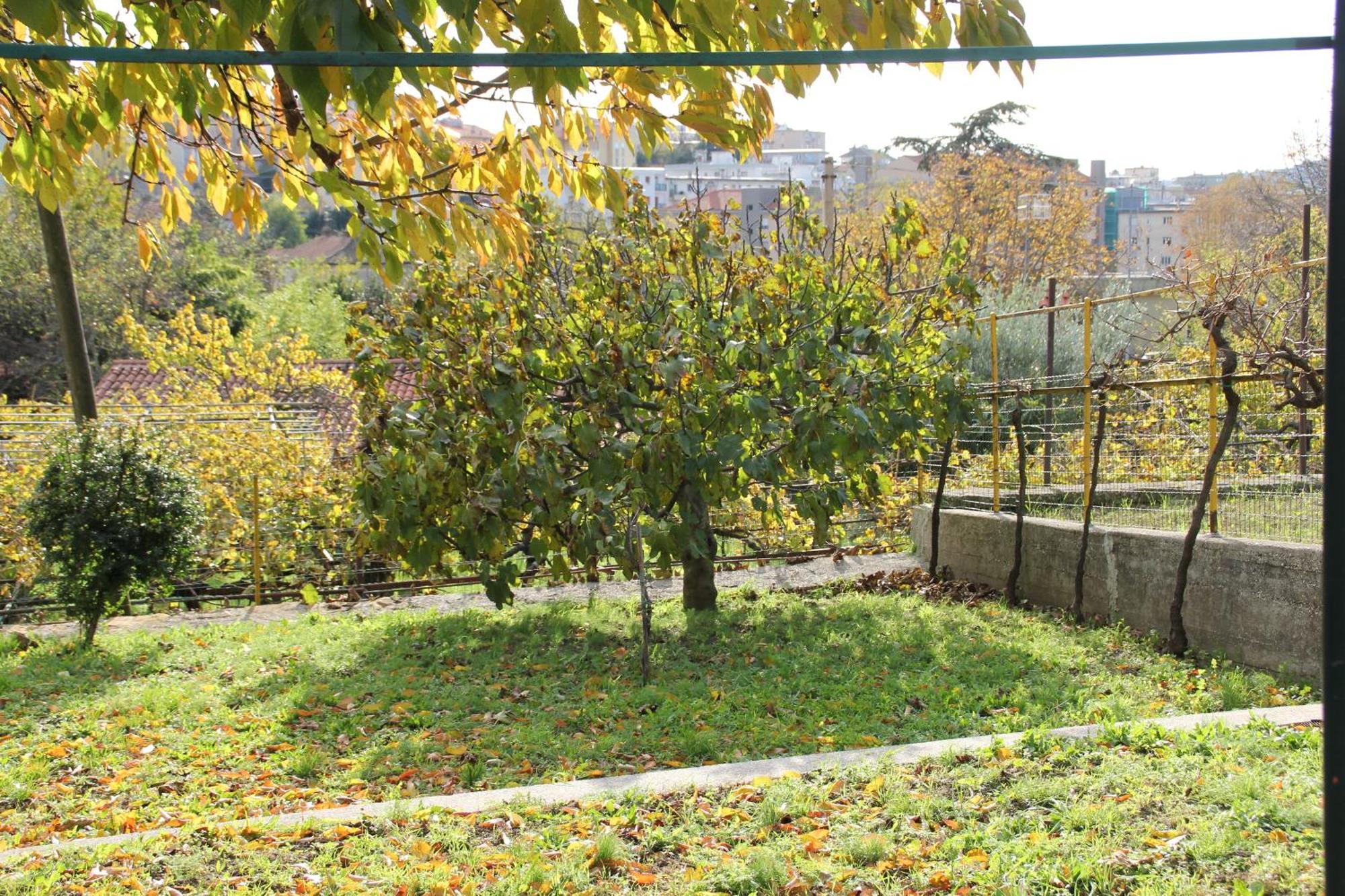 Il Gelsomino Villa Trieste Ngoại thất bức ảnh
