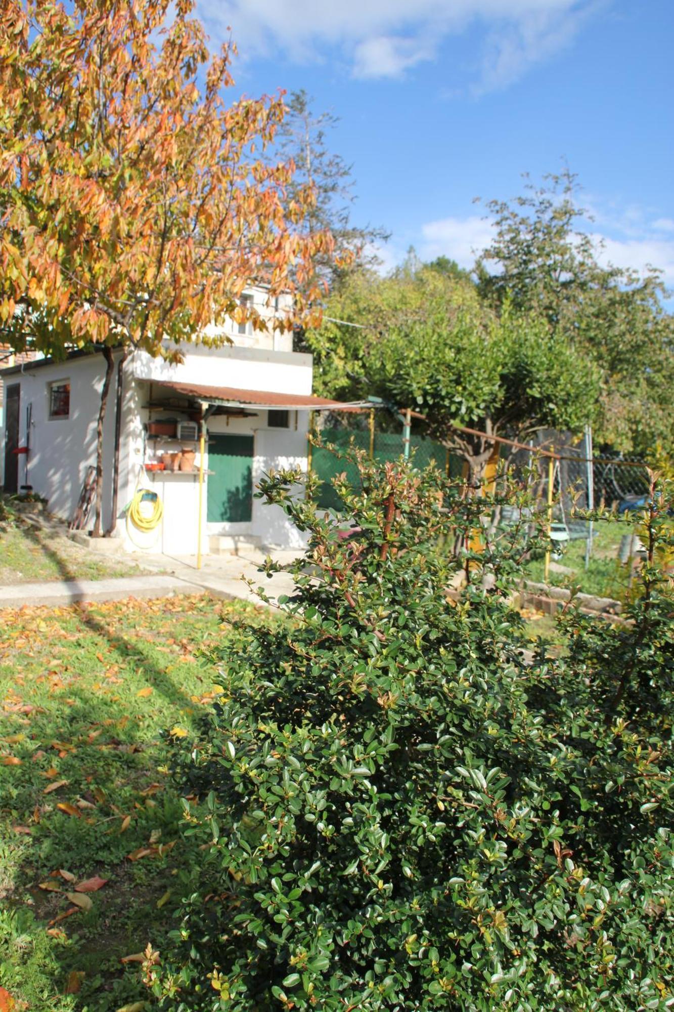 Il Gelsomino Villa Trieste Ngoại thất bức ảnh