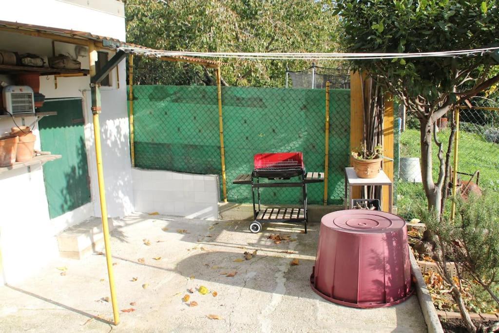 Il Gelsomino Villa Trieste Ngoại thất bức ảnh