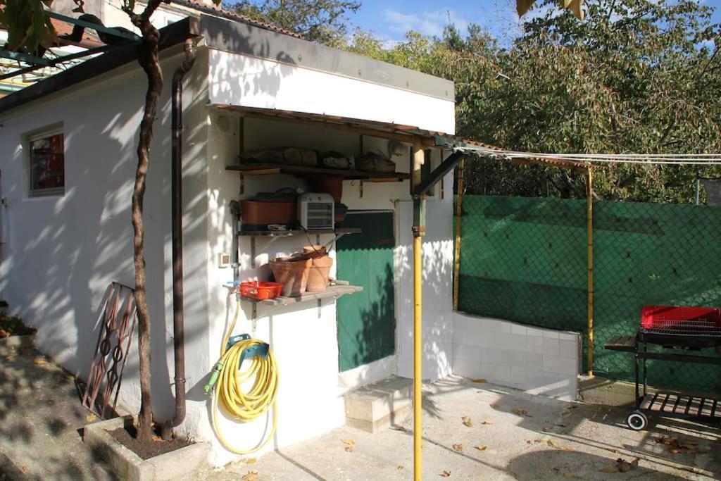 Il Gelsomino Villa Trieste Ngoại thất bức ảnh
